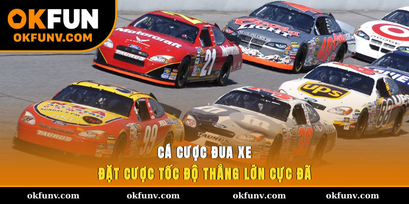 ca-cuoc-dua-xe