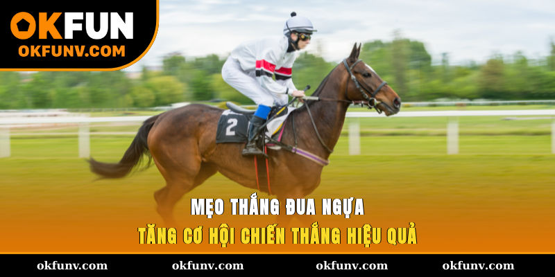meo-thang-dua-ngua