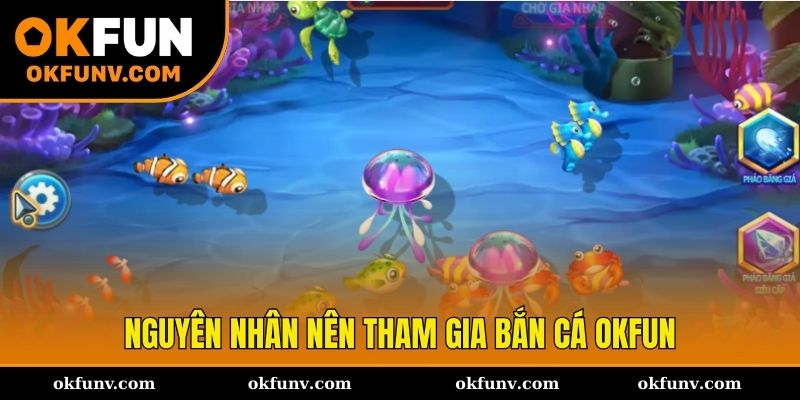 Nguyên nhân nên trải nghiệm bắn cá OKFUN